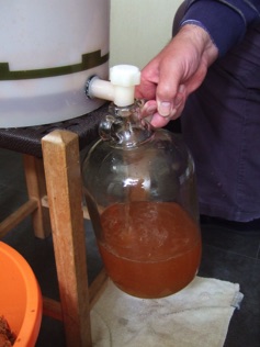 Making the juice